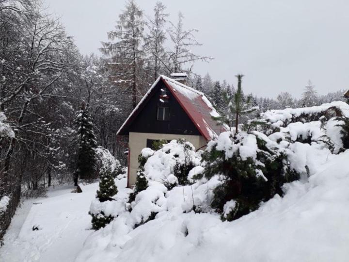 Chata U Koupaliste Chřibská Bagian luar foto